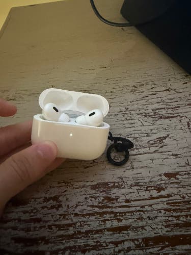 Apple Headphones (Used)