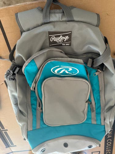 Rawlings Bat Bag (Used)