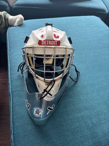 Junior 2024 Warrior Ritual RF2 Goalie Mask (Used)
