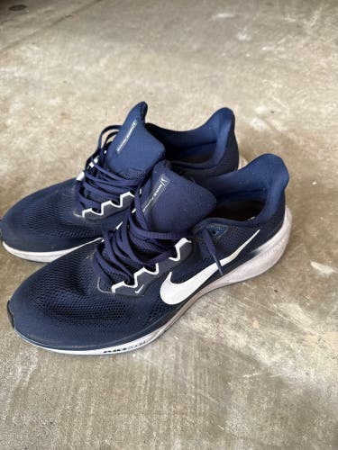 Blue Men's Size M 11.5 (W 12.5) Adult Nike Pegasus 41 Shoes (Used)