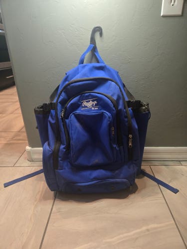 Rawlings Bat Pack (Used)