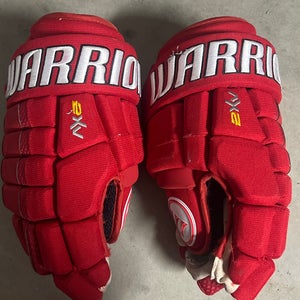 Warrior Dynasty AX2 Gloves 14" (Used)