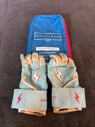 Medium Batting Gloves (Used)