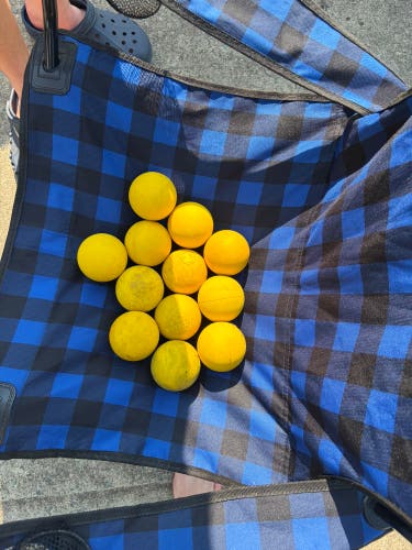 Champion Lacrosse Ball 12 Pack (1 Dozen) (Used)