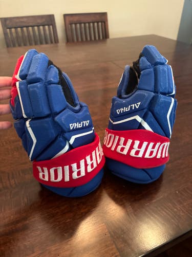 Warrior Alpha Gloves (Used)