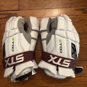 Boys’ Latin Lacrosse Goalie Gloves (New)