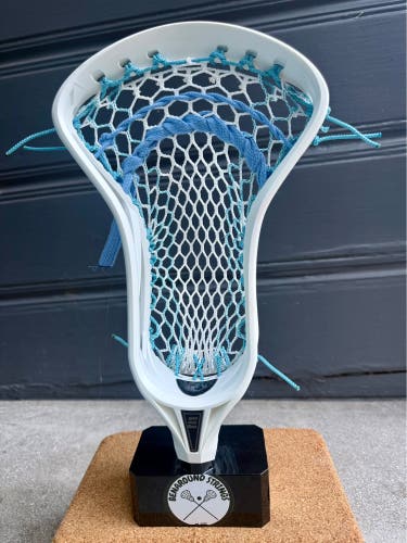 Epoch Z-One strung with Hero 4.0