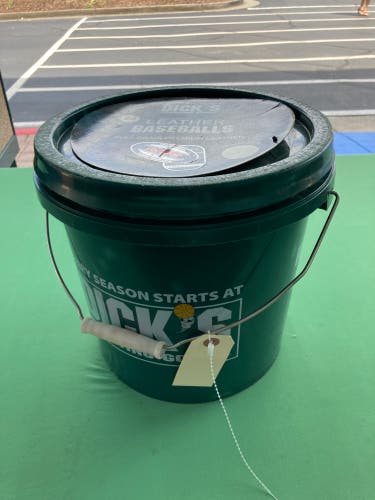 Mixed 24 Pack of Baseballs | + Bucket