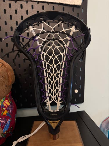 BN dyed True Lynx head