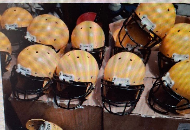 1 Schutt for Irish Lion (Used)