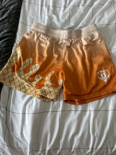 Medium Men's Shorts (Used)