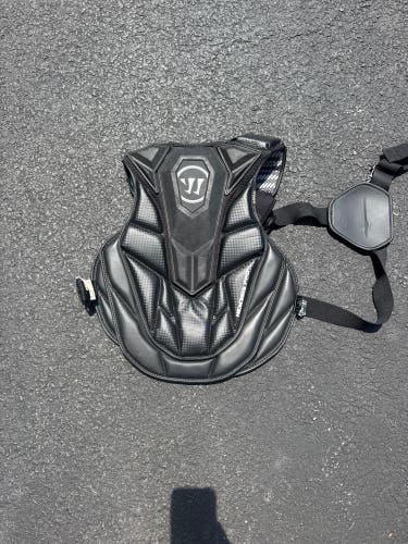 Large Adult Warrior Evo Shoulder Pads (Used)