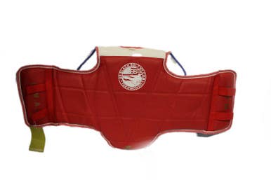 Used Junior Martial Arts Chest Guards 11847-s000010472