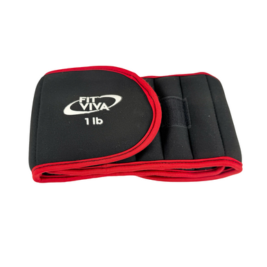 Used FIT VIVA Ankle Weights Black 1 lb 11506-S000298642