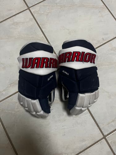 Warrior Alpha Pro Plus 13" Gloves