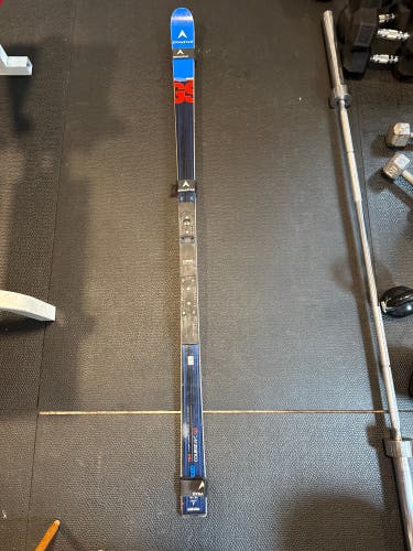 Dynastar Europa Cup GS 193 cm Skis (Used)