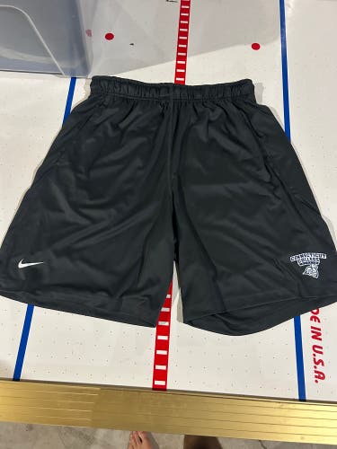 Connecticut college Gray Large Men's Nike Shorts (New)