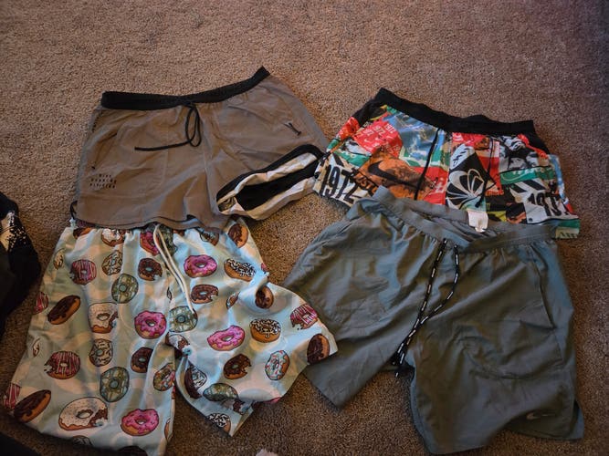 Large Men's Nike Shorts (Used)