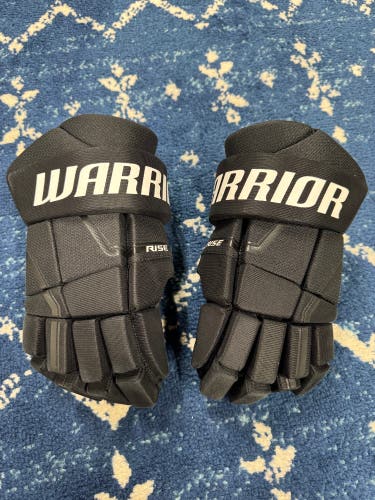Warrior Rise Gloves 12" (Used)