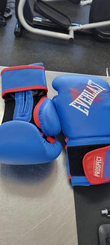 Used Everlast Boxing Gloves Royal Blue Sm 11497-s000158267