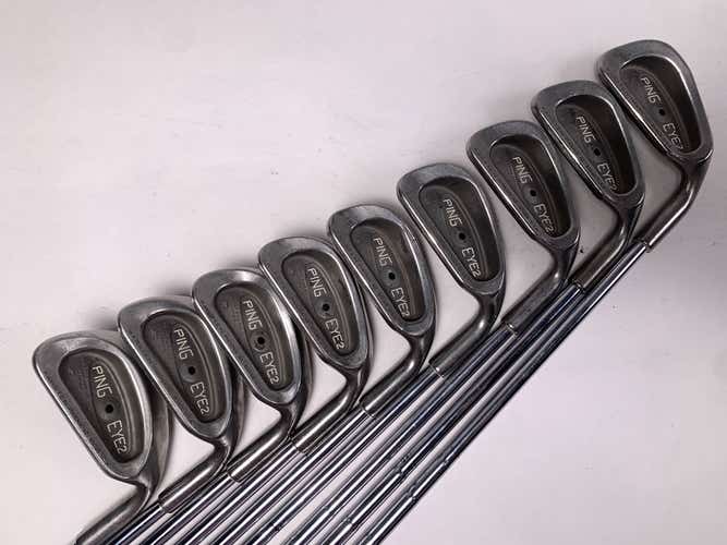 Ping Eye 2 + Iron Set 3-PW+SW Black Dot Karsten ZZ-Lite Stiff Steel Mens RH