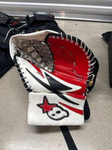Brian's Regular Goalie Glove (Used)