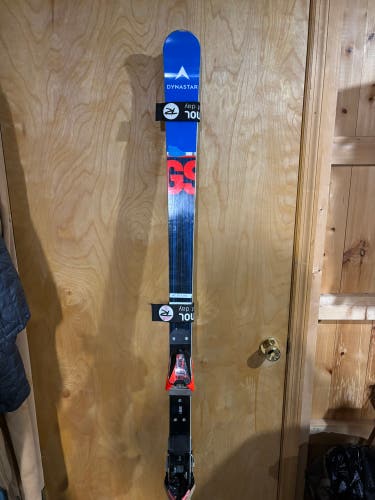 Dynastar Speed WC FIS GS 193 cm Skis With Bindings (Used)
