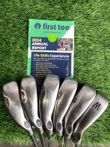Callaway Big Bertha 2002 Iron Set 6-10, PW With Ladies Graphite Shafts