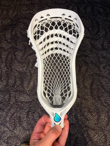 Powell Genesis Head. Box Head. Baked and Pinched (New)