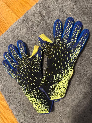 Goalie Gloves (Used)