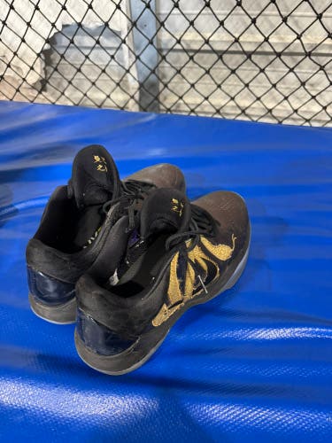 Men's Size M 11.5 (W 12.5) Nike Shoes (Used)