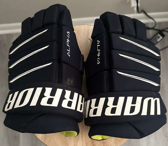 Warrior Alpha QX5 Gloves 14" (Used)