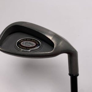 Callaway Big Bertha Tungsten Titanium Single 9 Iron RCH 96 Regular Mens RH