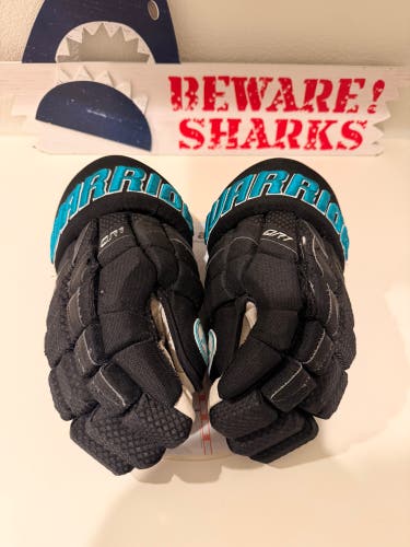 Joonas Donskoi Game / Practice Used Gloves Size 14”