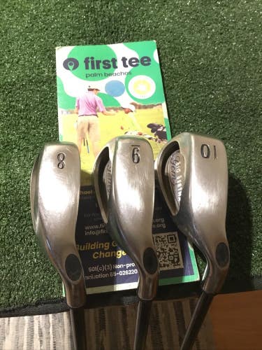 Callaway Ladies Big Bertha Gems Irons Set (8-10 Irons) Gems 65i Graphite Shafts
