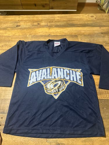 Projoy Hockey Avalanche Practice Jersey. Blue
Youth Size Large Unisex (Perfect Condition)