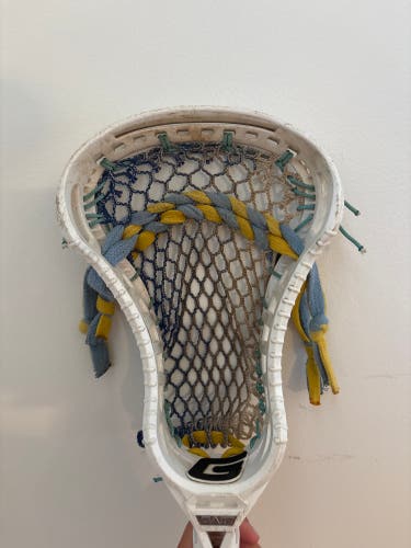 Gait D2C Used Head (Used)