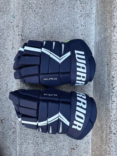 Warrior Alpha DX5 Gloves 15" (Used)