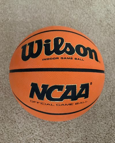 Men's Wilson Basketball (New)