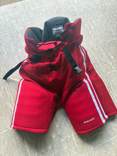 Men's Senior Medium Bauer Nexus Pro Hockey Pants (Used)
