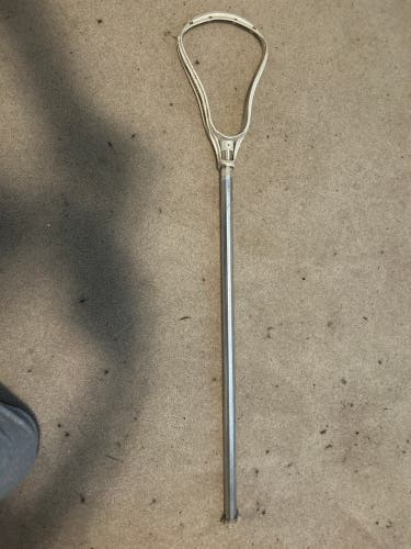 Adult Brine Stick (Used)