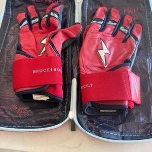 Batting Gloves (Used)