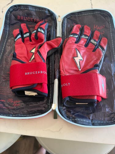 Batting Gloves (Used)