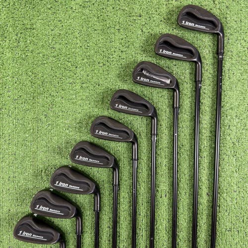1 Iron Blackstone Single One Length Iron Set 5-LW Graphite Regular Flex 36