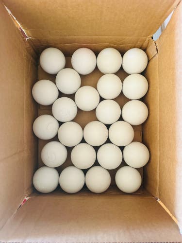 24 New Lacrosse Balls