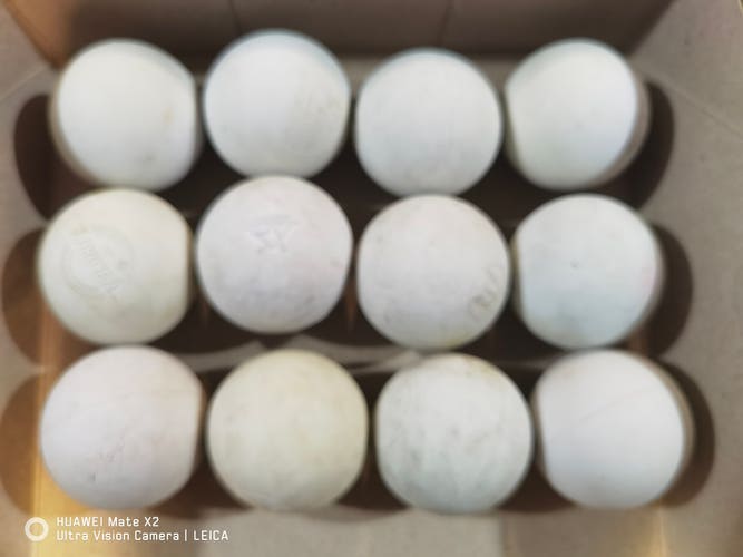 Lacrosse Ball 36 Pack (3 Dozen) (Used)