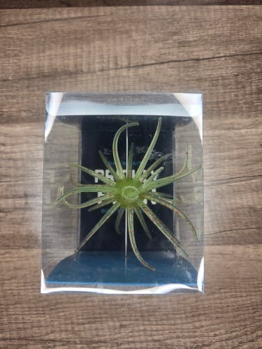 Hags prickly pear 19mm urchin bait