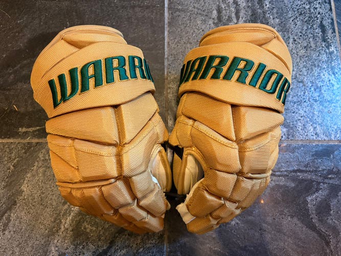 Minnesota Wild Team Issued Winter Classic Gloves