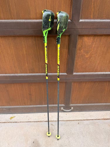 Gabel Ski Poles