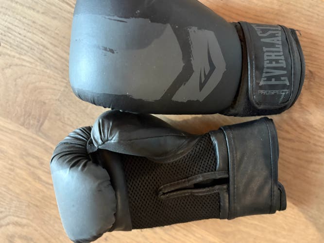 Everlast (Used)